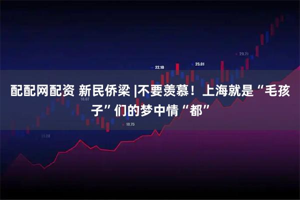 配配网配资 新民侨梁 |不要羡慕！上海就是“毛孩子”们的梦中情“都”