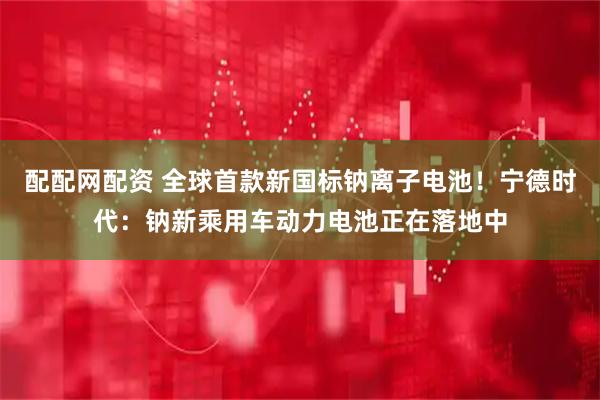 配配网配资 全球首款新国标钠离子电池！宁德时代：钠新乘用车动力电池正在落地中