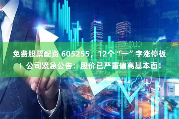 免费股票配资 605255，12个“一”字涨停板！公司紧急公告：股价已严重偏离基本面！
